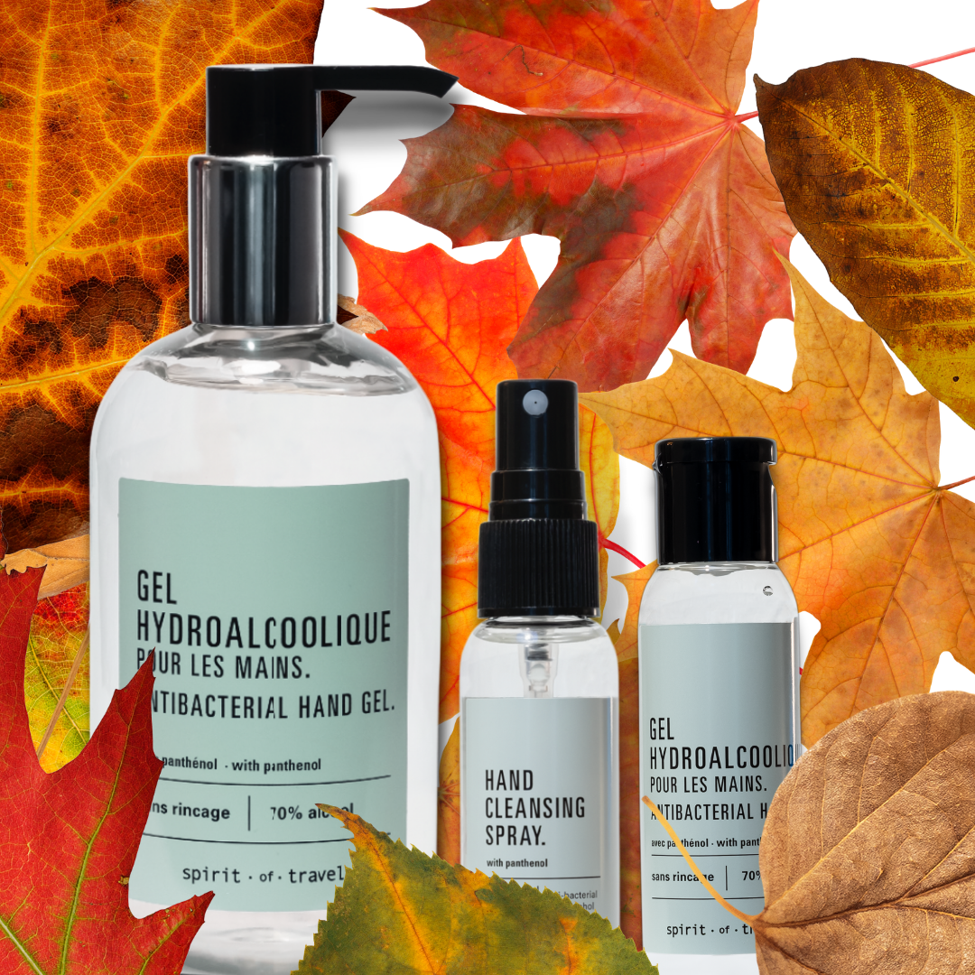 GEL HYDROALCOOLIQUE