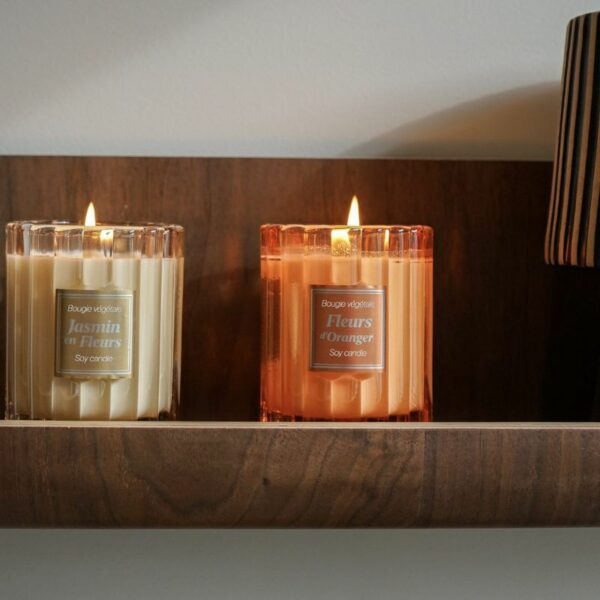 jasmin-orange-bougie-bizbille.com