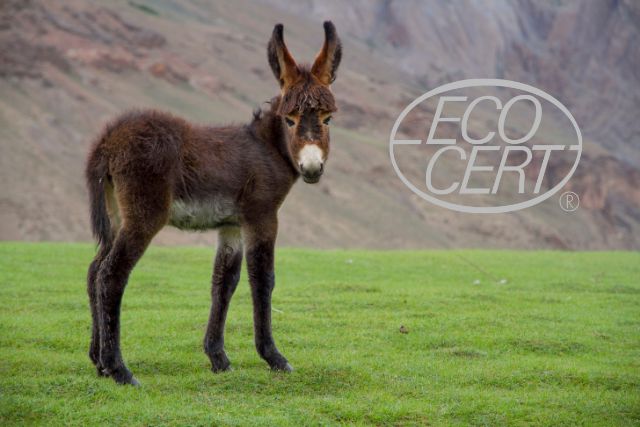 ecocert-lait-anesse-2